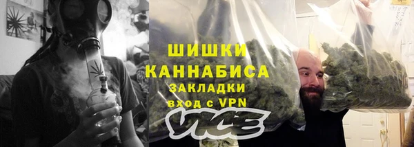 PSILOCYBIN Горно-Алтайск