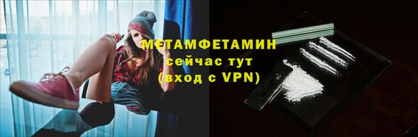 PSILOCYBIN Горняк
