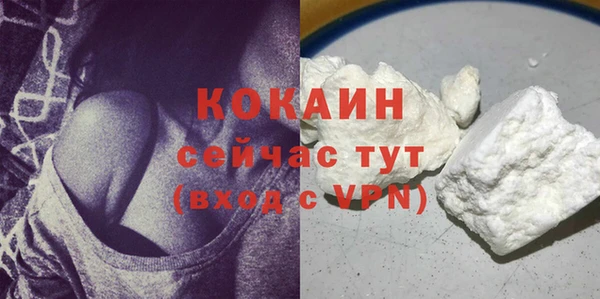 PSILOCYBIN Горно-Алтайск