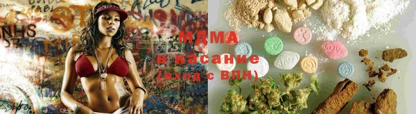 PSILOCYBIN Горняк