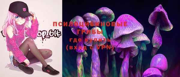 PSILOCYBIN Горняк