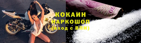PSILOCYBIN Горно-Алтайск