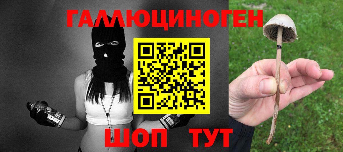 магазин продажи наркотиков  Галлюциногенные грибы Cubensis  Вход с VPN  Елец  Псилоцибиновые грибы Cubensis 